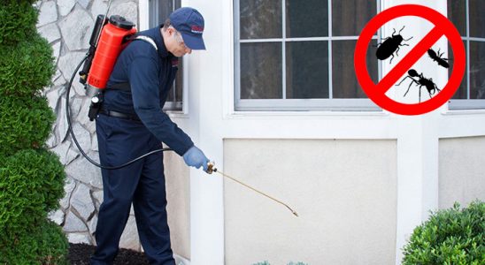 Kuyucak Akrep İlaçlama böcek ilaçlama ve haşere kontrolü — ilaclama-tr.com